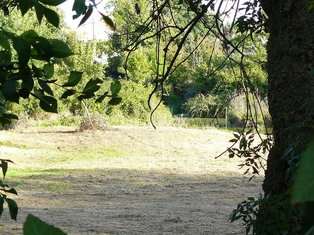 Vila Les Plenitudes Du Rivage Saint-Vincent-sur-Jard Exteriér fotografie